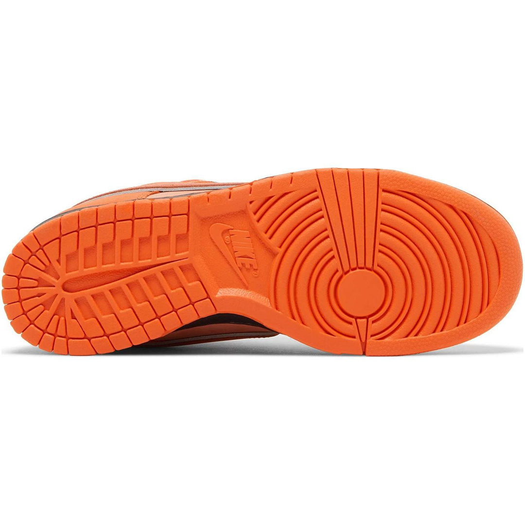 Concepts x Dunk Low SB 'Orange Lobster' FD8776 800 Sole | Nike