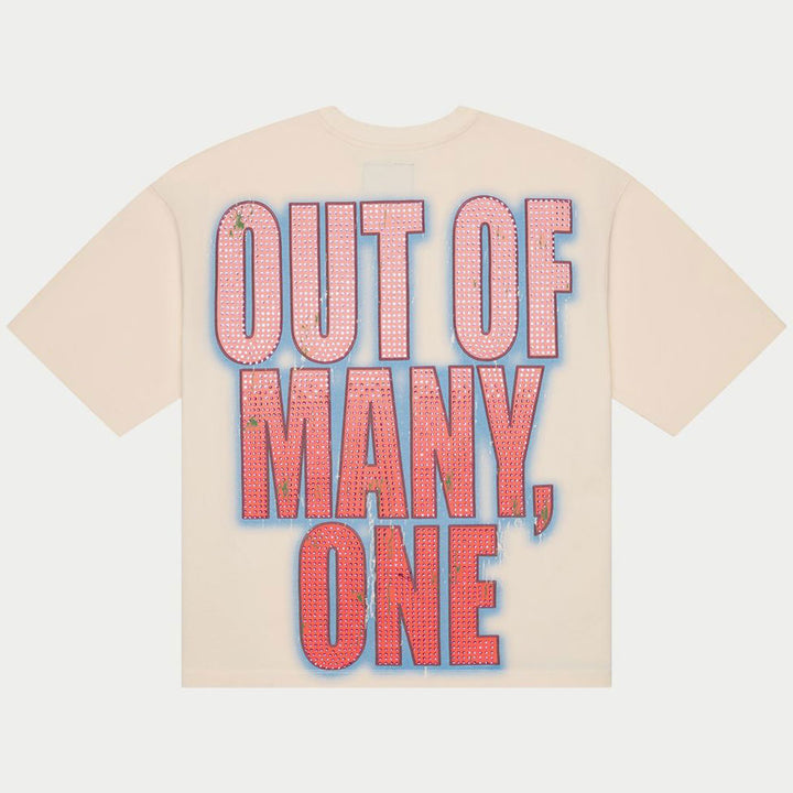 Vision Pro T-Shirt VVS (Bone)