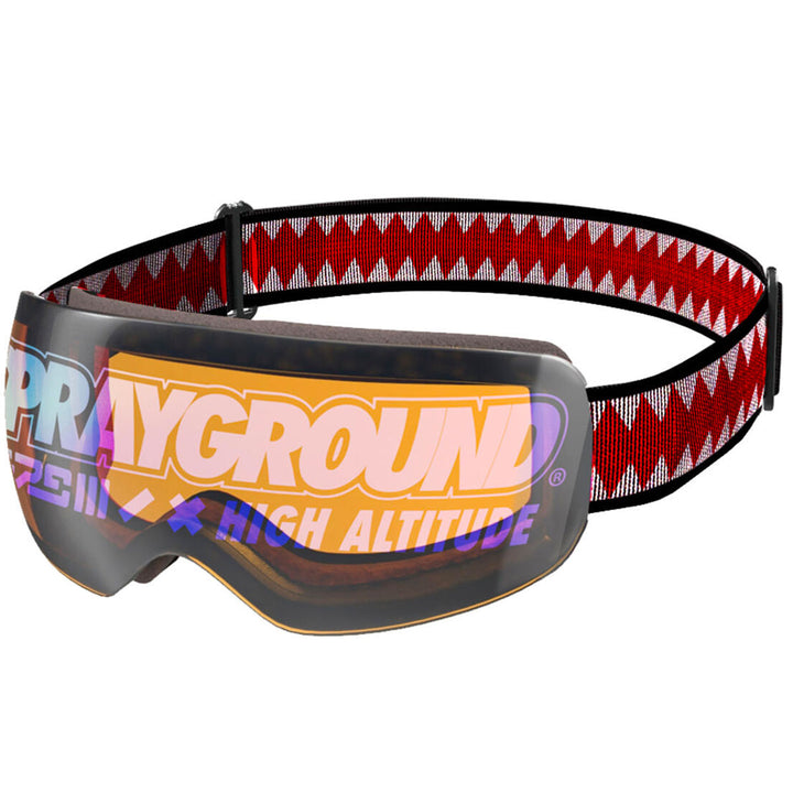 Arctic Ski Interchangeable Goggles