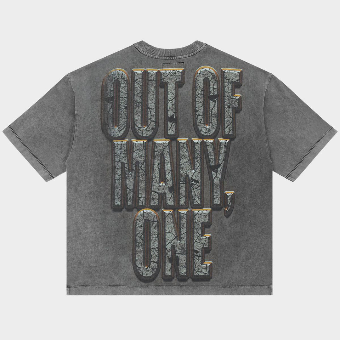 Liberty Ruins Tee (Grey)