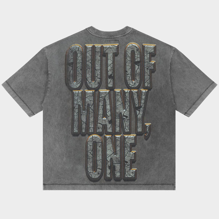 Liberty Ruins Tee (Grey)