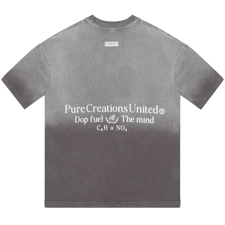 Dopamine T-Shirt (Grey Wash)