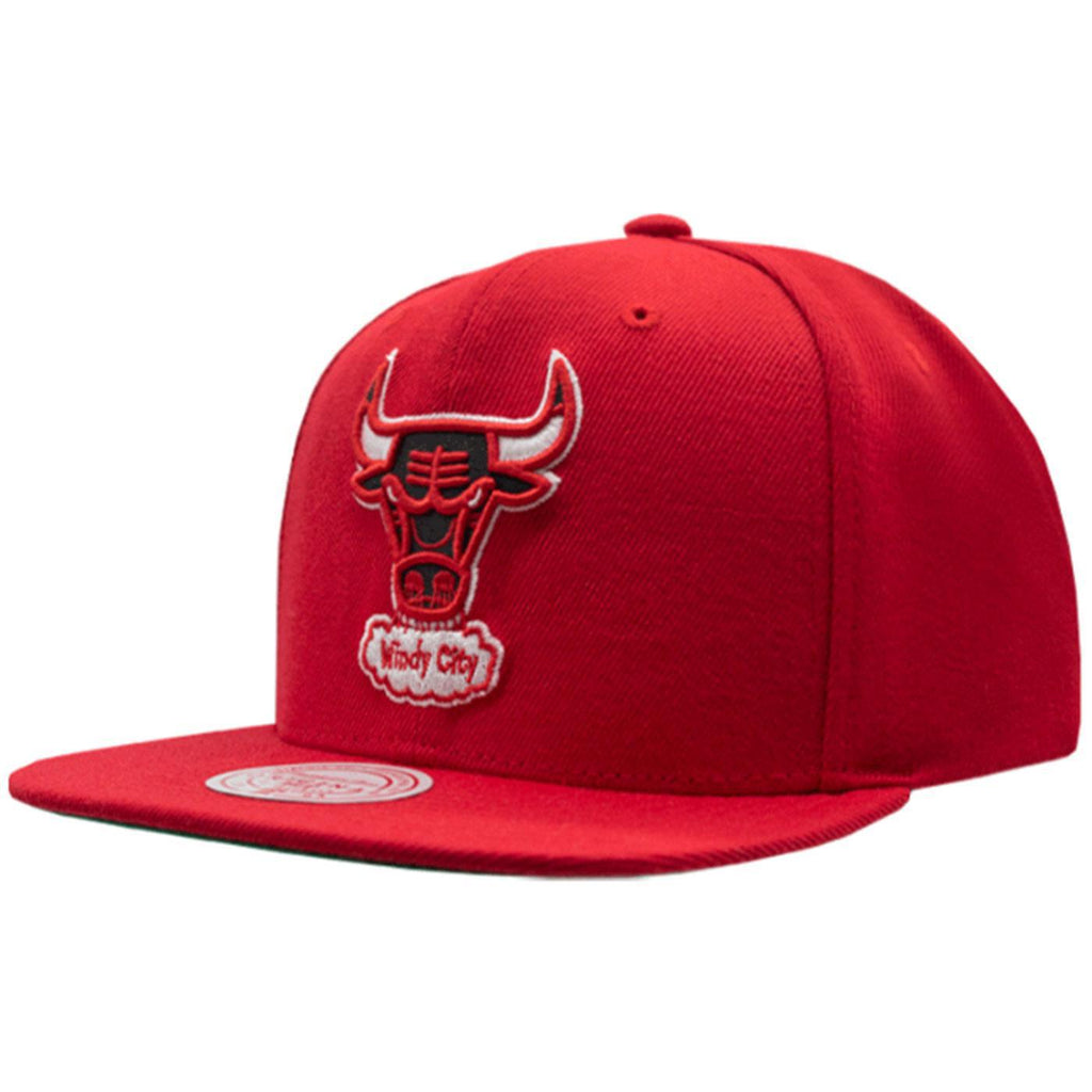 Team Ground 2.0 Dad Strapback HWC Chicago Bulls