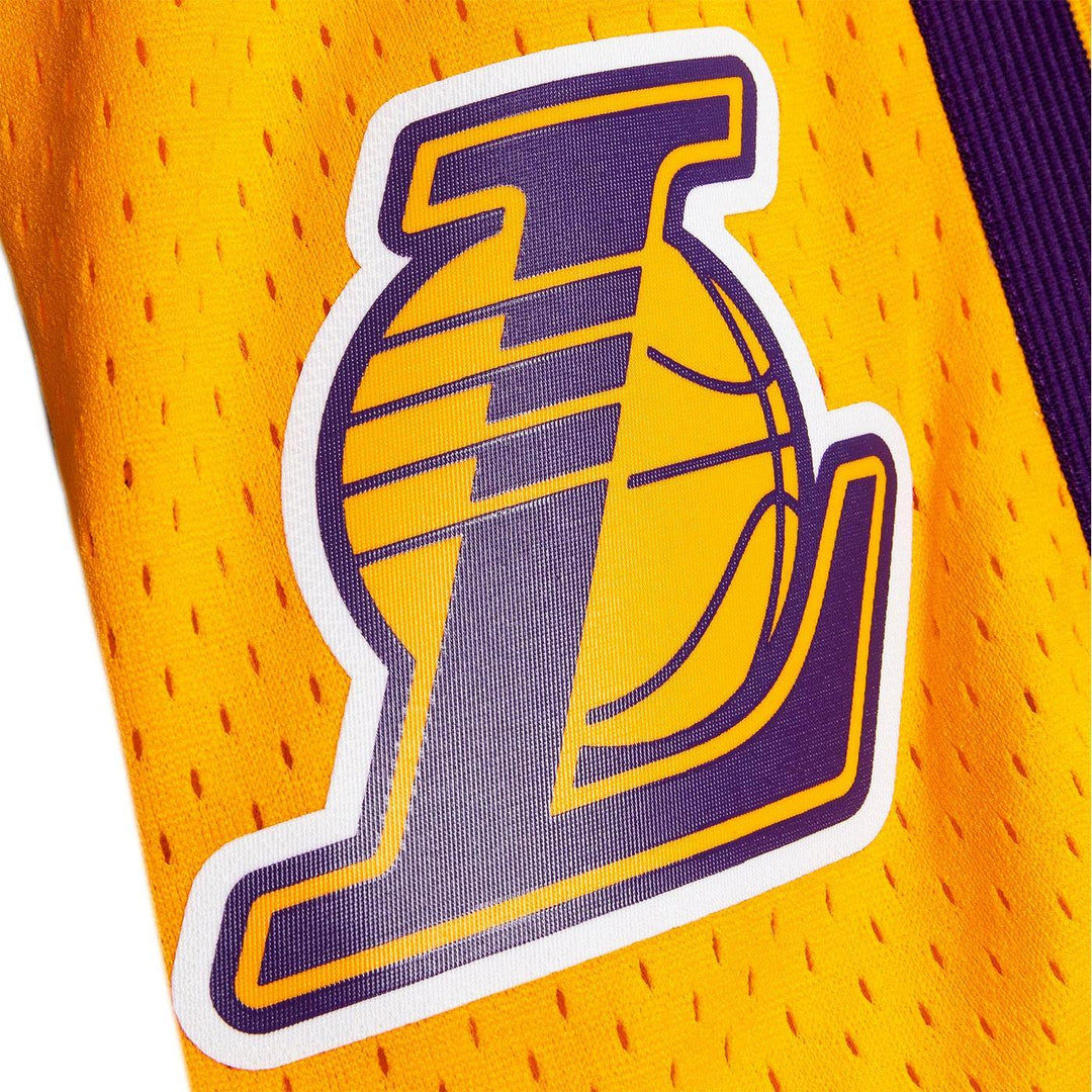 Swingman Los Angeles Lakers 2009-10 Shorts Detail | Mitchell & Ness