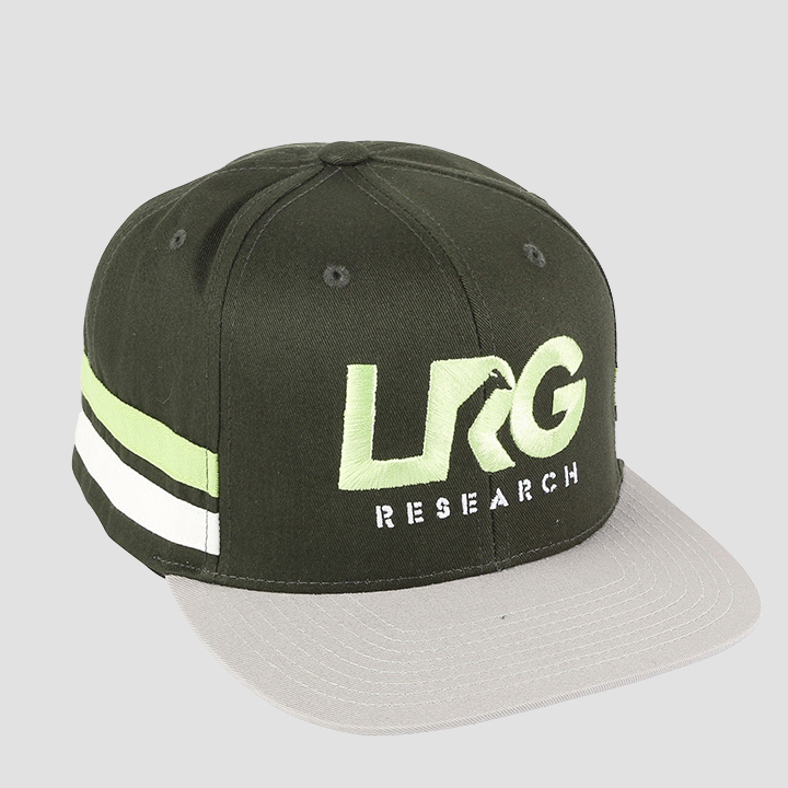 Lrg snapback top