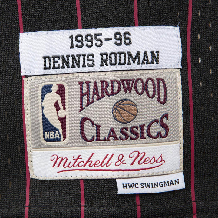 Swingman Jersey Chicago Bulls Alternate 1995-96 Dennis Rodman Detail
